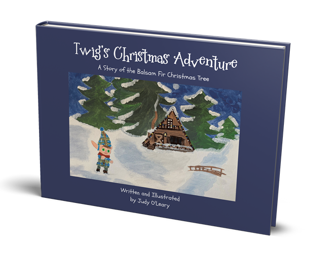 Twigs Christmas Adventure Book